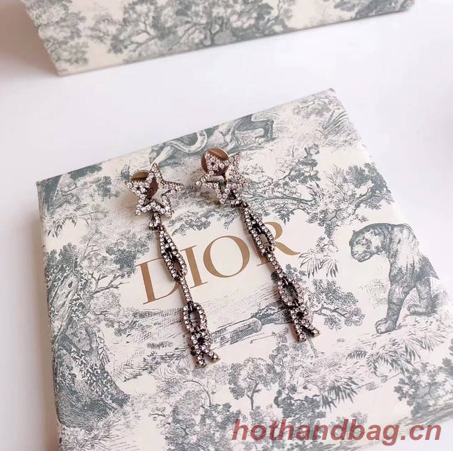 Dior Earrings CE4338