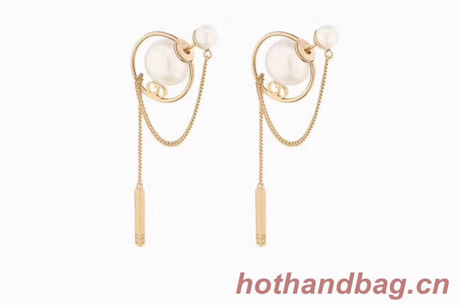 Dior Earrings CE4477