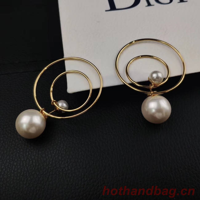 Dior Earrings CE4505