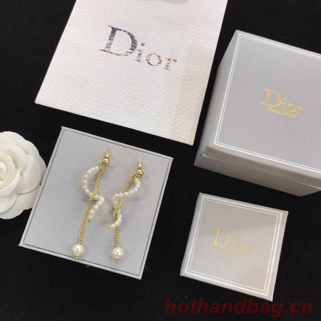 Dior Earrings CE4517