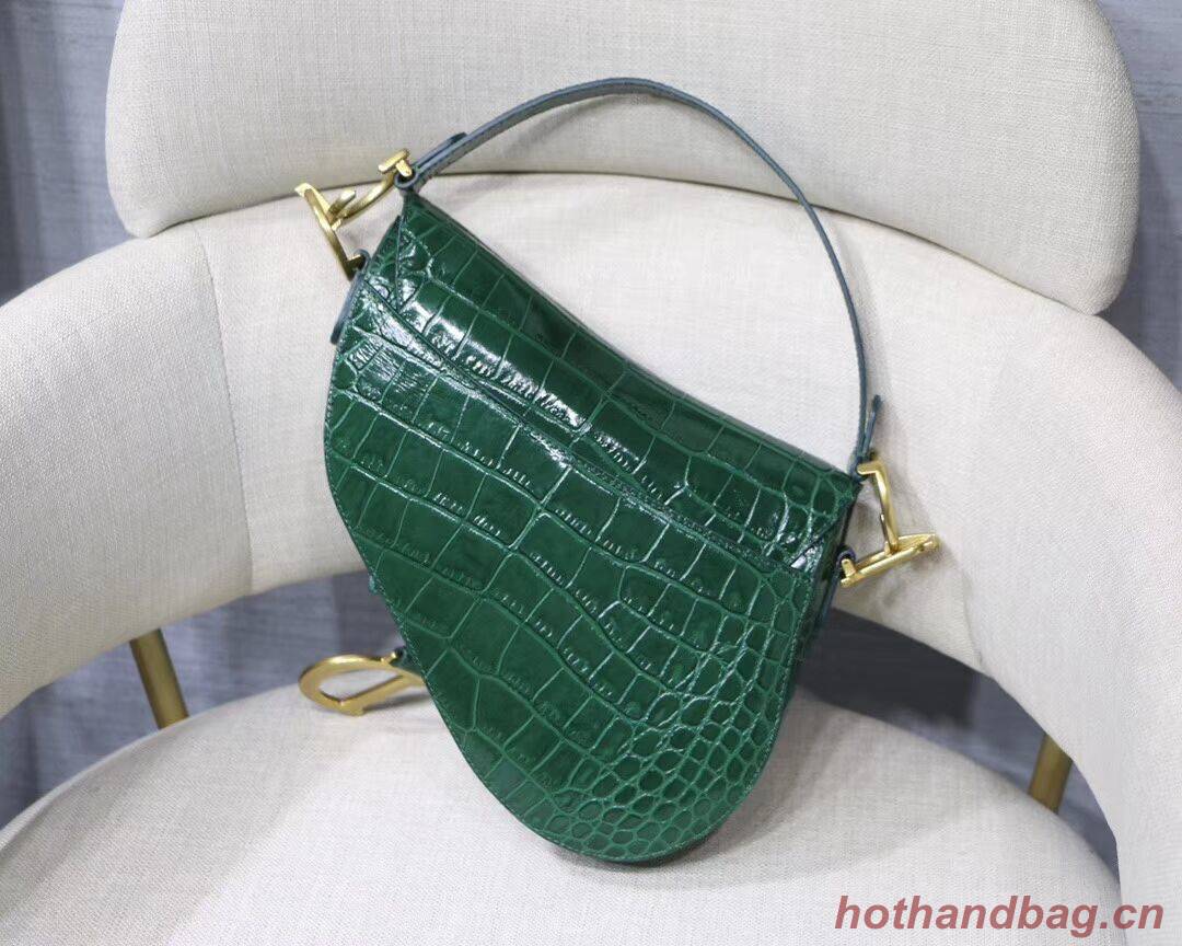 Dior SADDLE SOFT CALFSKIN BAG C9045 green