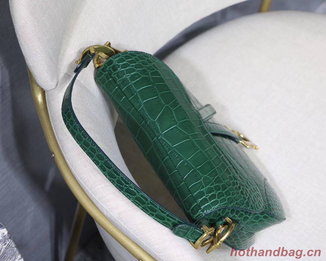 Dior SADDLE SOFT CALFSKIN BAG C9045 green