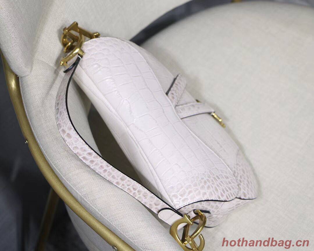 Dior SADDLE SOFT CALFSKIN BAG C9045 white