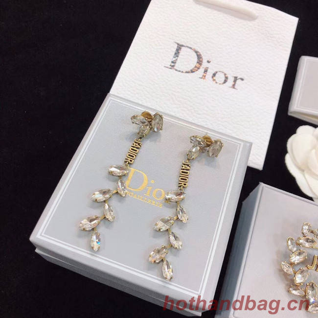 Dior Earrings CE4782