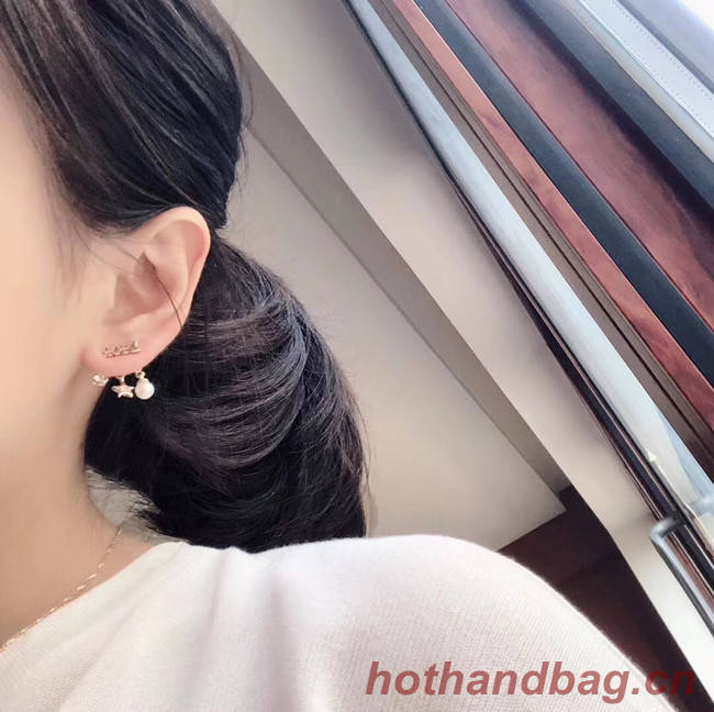 Dior Earrings CE4785