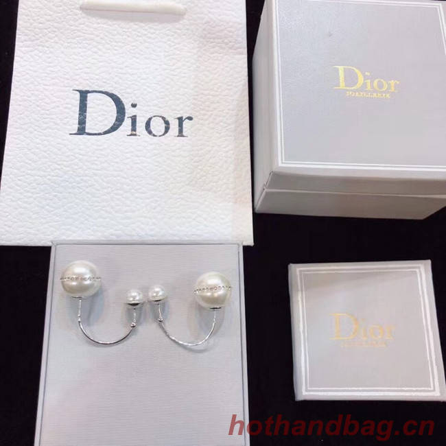 Dior Earrings CE4802