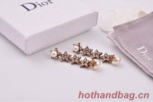 Dior Earrings CE4806