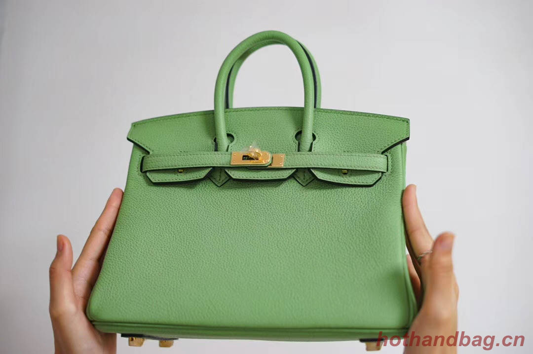 Hermes Birkin 25CM Togo Leather H5601 green