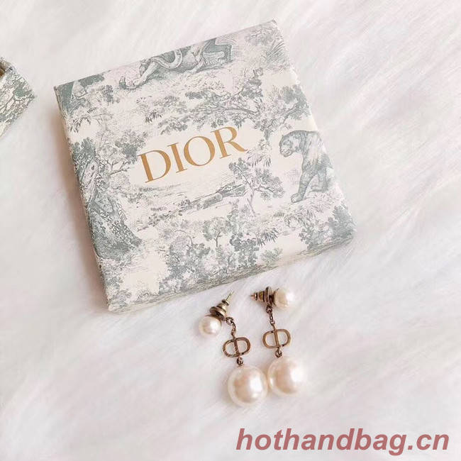 Dior Earrings CE4888