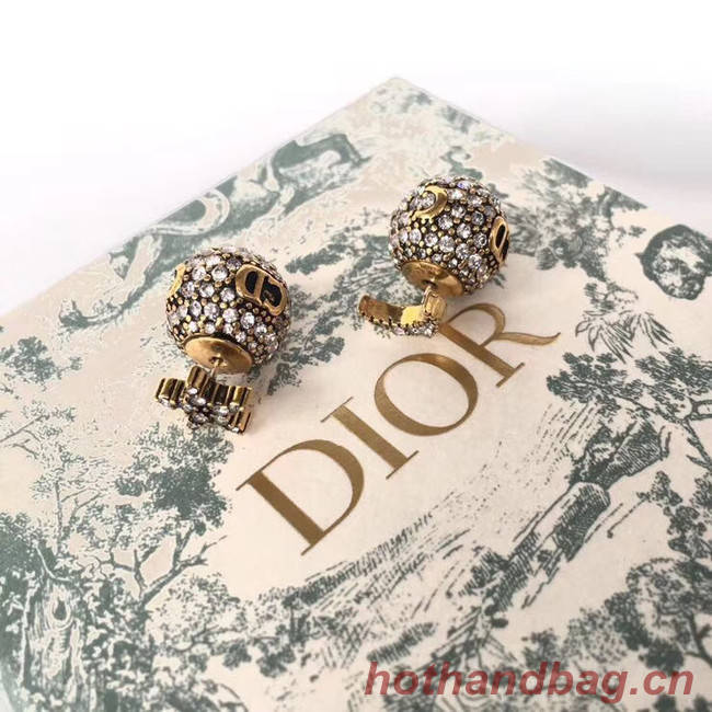 Dior Earrings CE4889