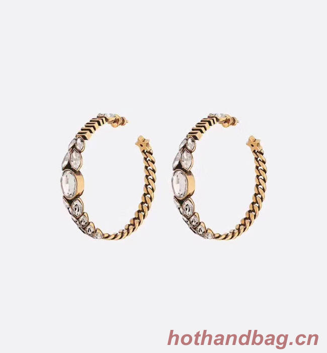 Dior Earrings CE4892