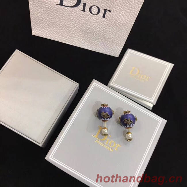 Dior Earrings CE4894