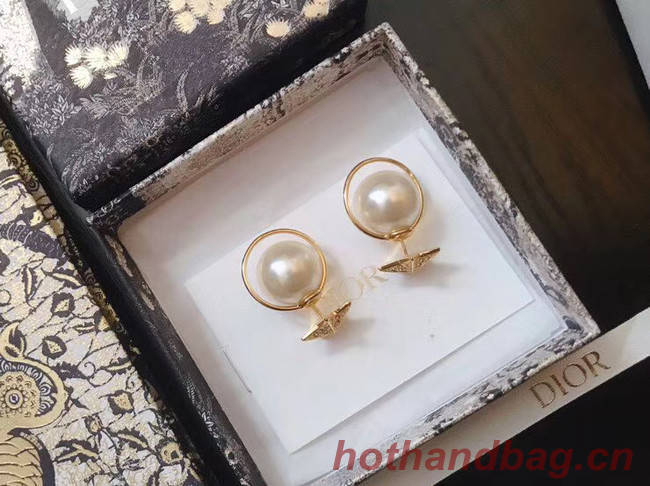 Dior Earrings CE4896