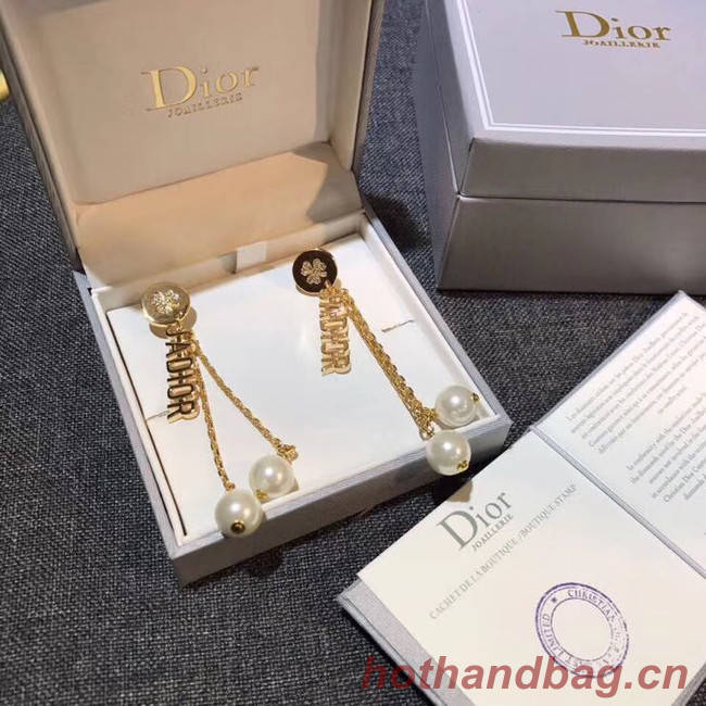 Dior Earrings CE4909