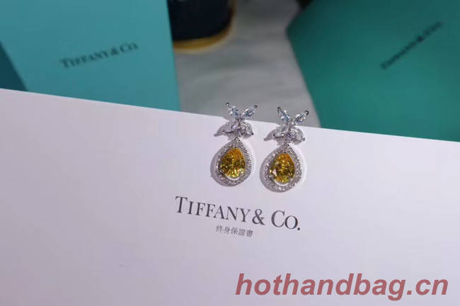 TIFFANY Earrings CE4911