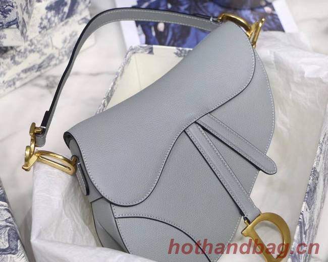 DIOR GRAY STONE SADDLE GRAIN CALFSKIN BAG M0446C