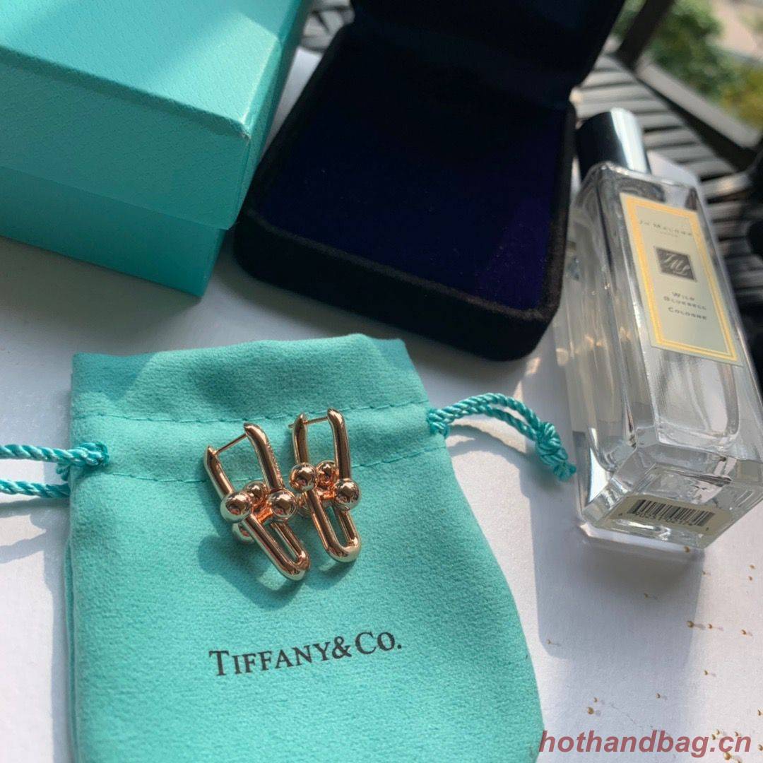 TIFFANY Earrings TE4916