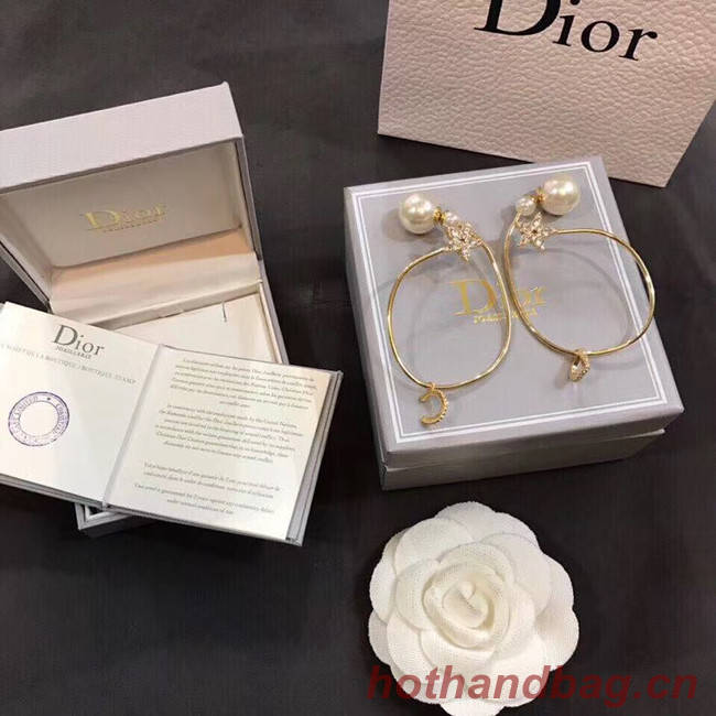 Dior Earrings CE5012