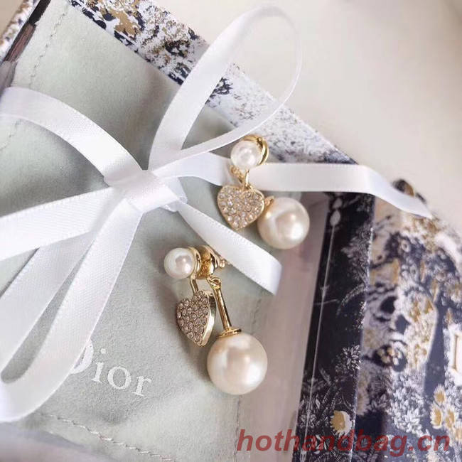 Dior Earrings CE5022