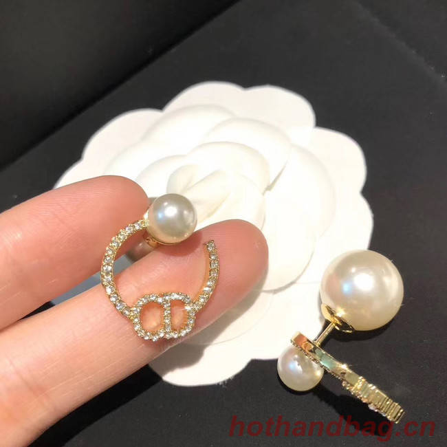 Dior Earrings CE5025