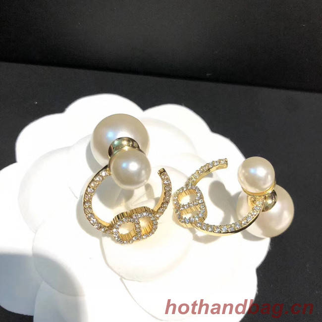 Dior Earrings CE5025