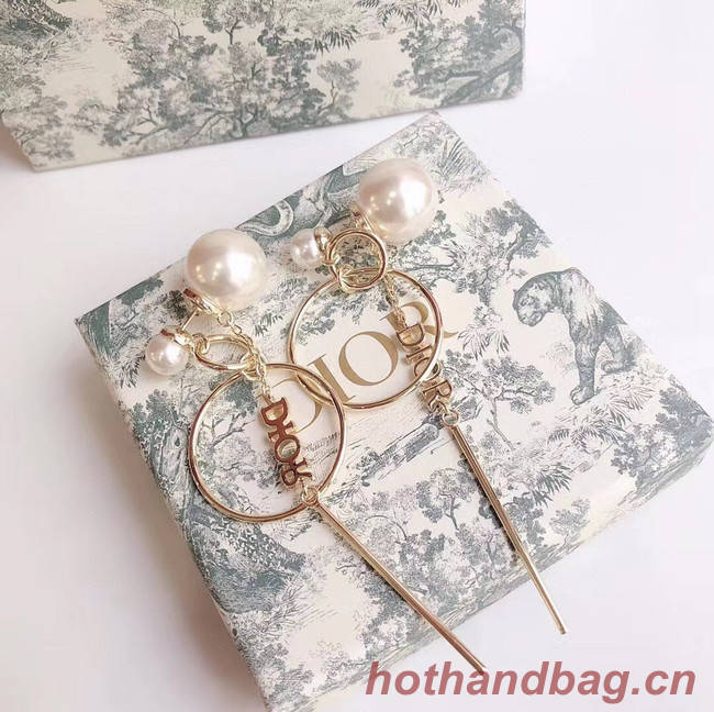 Dior Earrings CE5027