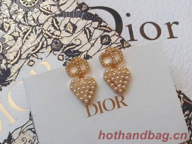 Dior Earrings CE5029