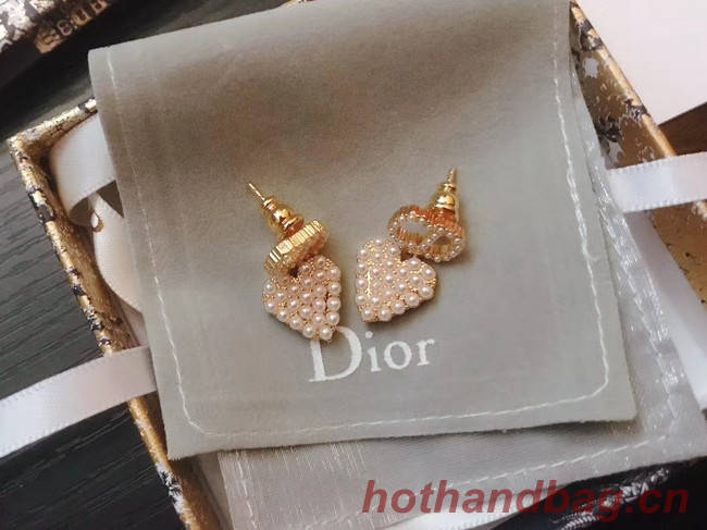 Dior Earrings CE5029