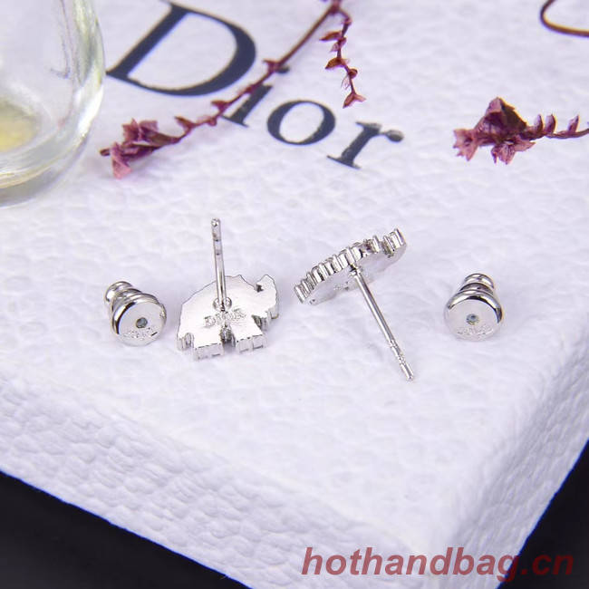 Dior Earrings CE5030