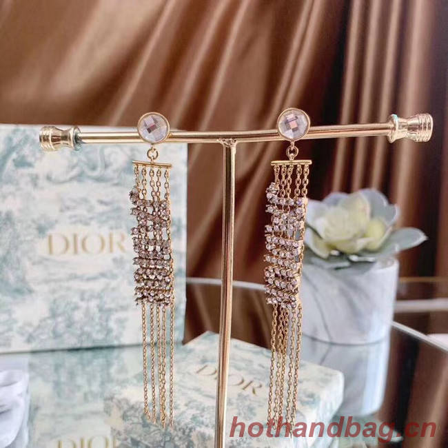 Dior Earrings CE5032