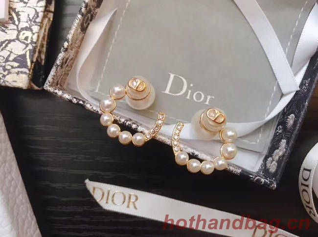 Dior Earrings CE5070