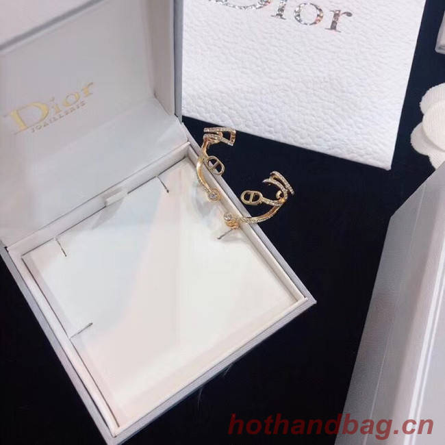 Dior Earrings CE5133