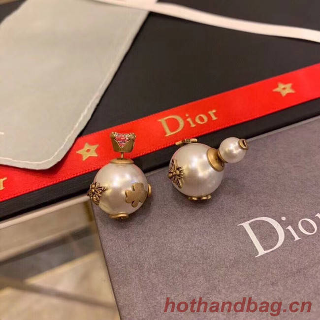 Dior Earrings CE5134