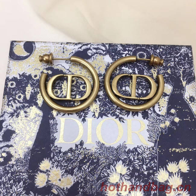 Dior Earrings CE5147