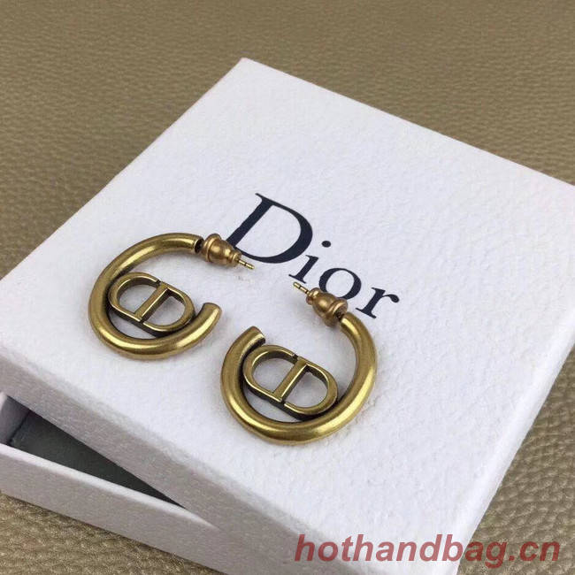 Dior Earrings CE5147