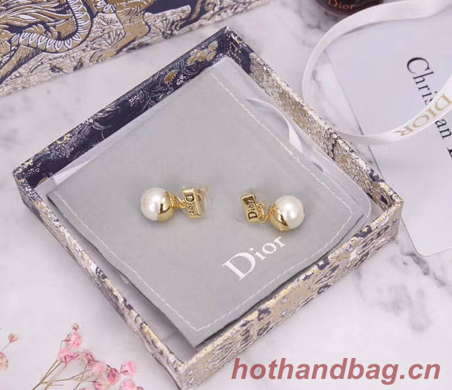 Dior Earrings CE5159