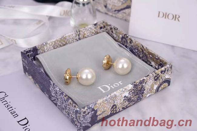 Dior Earrings CE5182