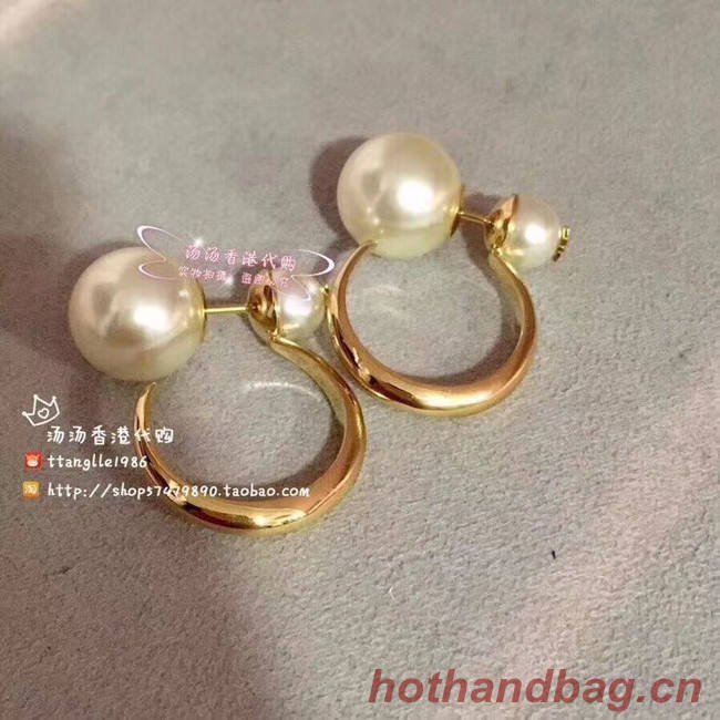 Dior Earrings CE5183