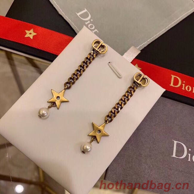 Dior Earrings CE5196