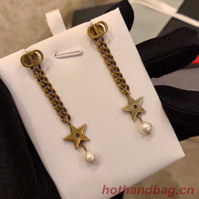 Dior Earrings CE5196