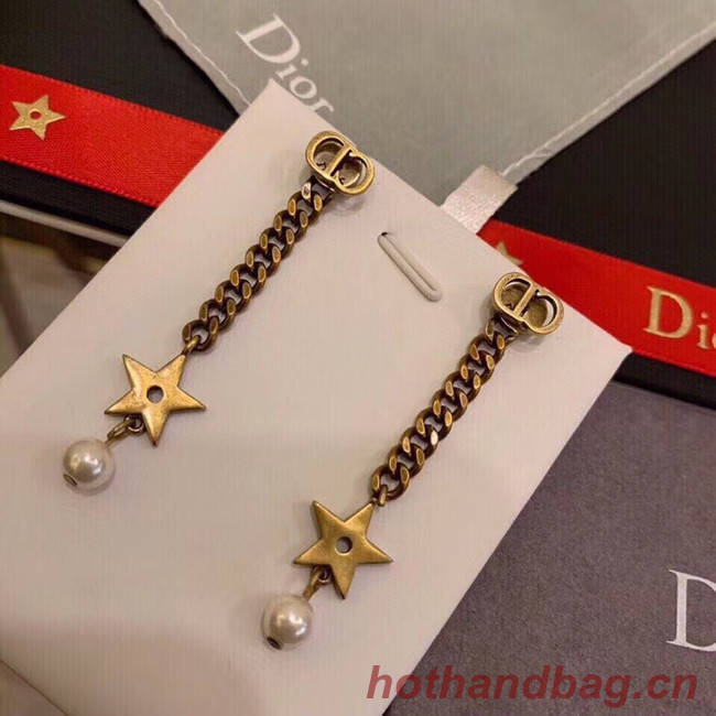 Dior Earrings CE5196