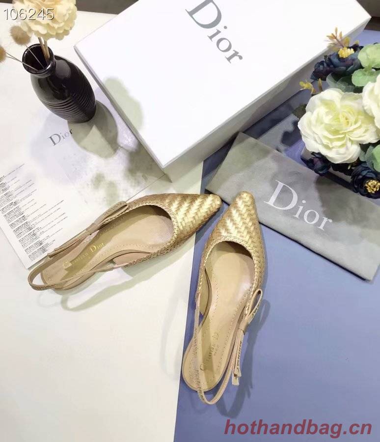 Dior Shoes Dior670JXC-1