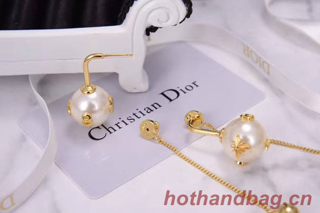 Dior Earrings CE5224