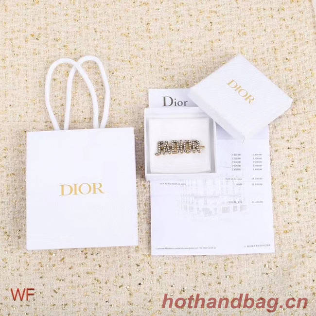 Dior Earrings CE5242