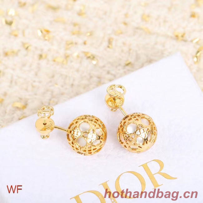 Dior Earrings CE5254