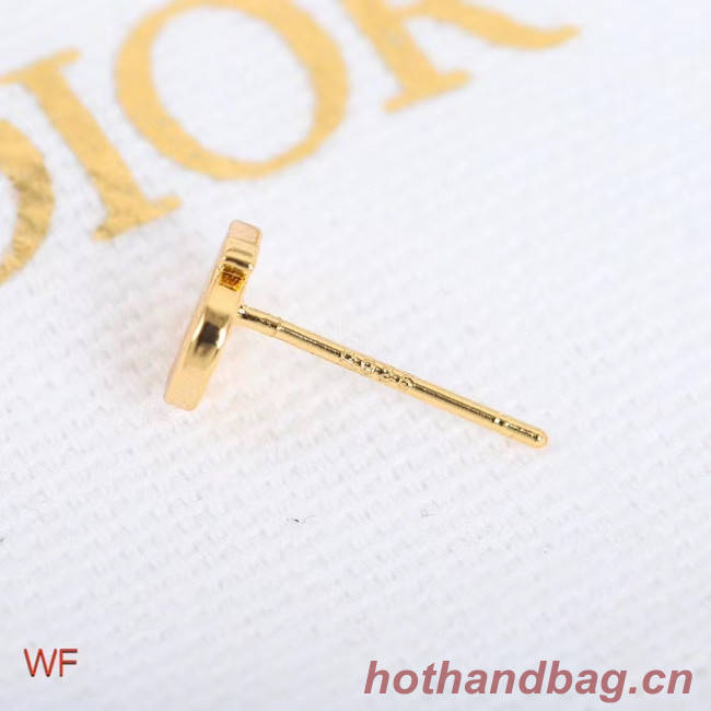 Dior Earrings CE5254