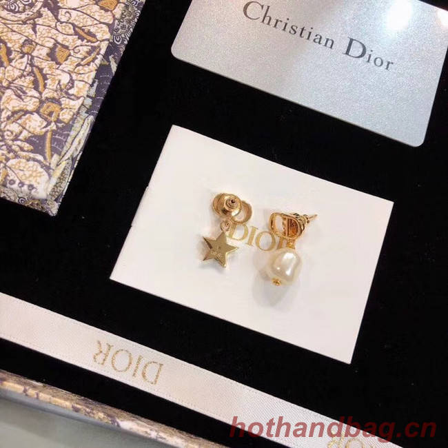 Dior Earrings CE5358