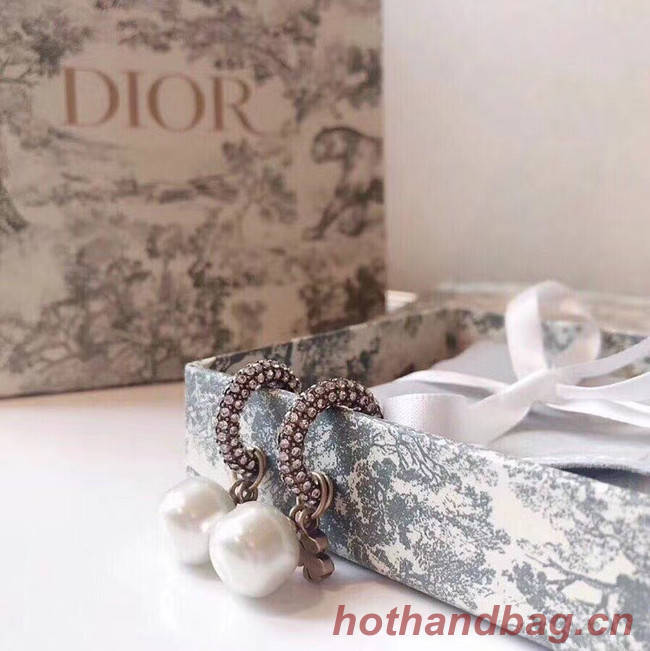 Dior Earrings CE5363