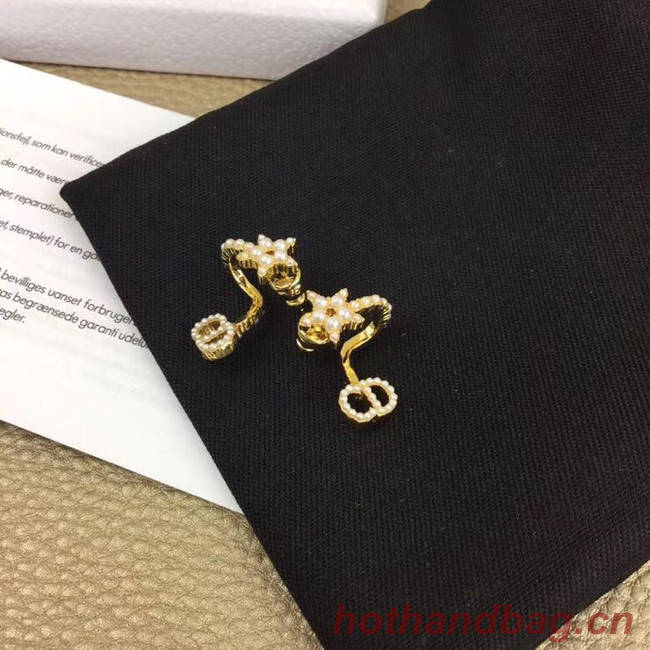 Dior Earrings CE5365