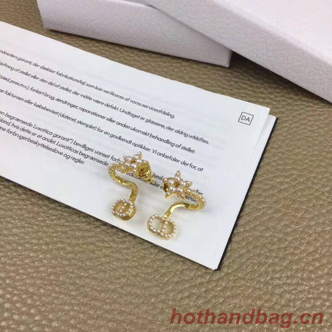 Dior Earrings CE5365